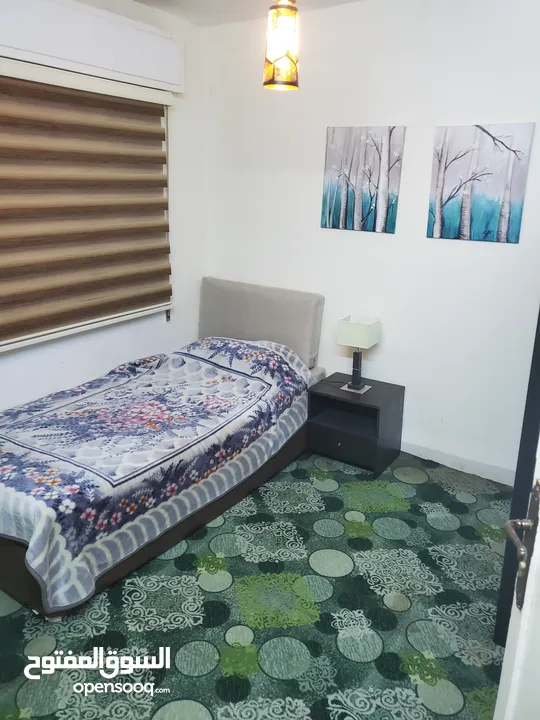 مطلوب شريك سكن لشقة مفروشة في عبدون