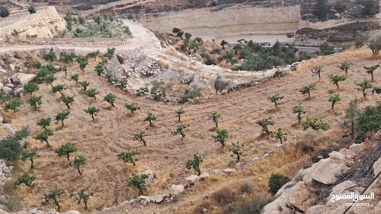 أرض في بيت كاحل مطلة على واد القف  شارع هيكلي لها من واد القف عرض 8 متر وشارع عرض 6م من بيت كاحل