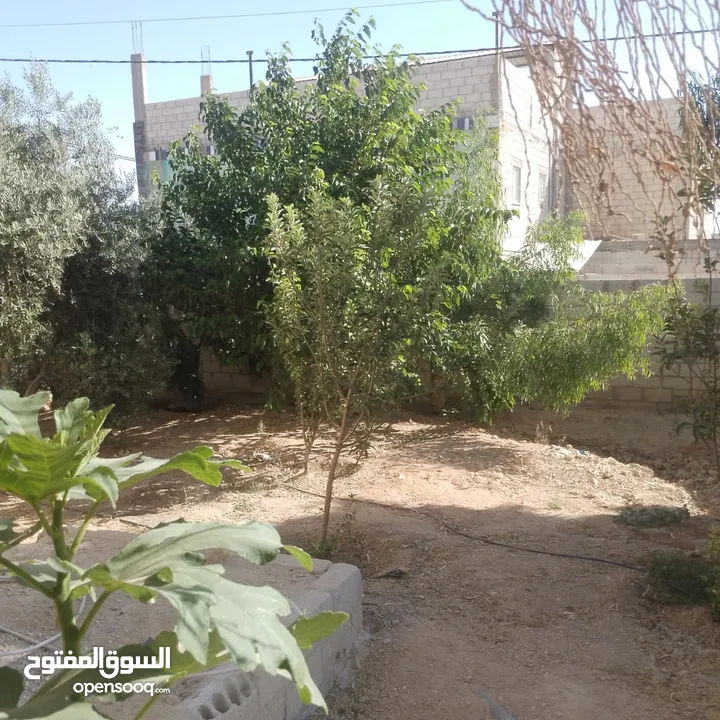 منزل للبيع قصر حلابات غربي قرب مصانع طيبه