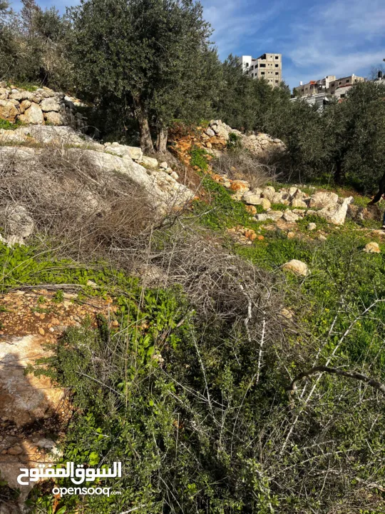 أرض للبيع بإطلالة غربية واصل جميع الخدمات