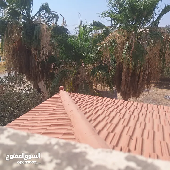 قرميد للبيع كامل مع الحديد والباب