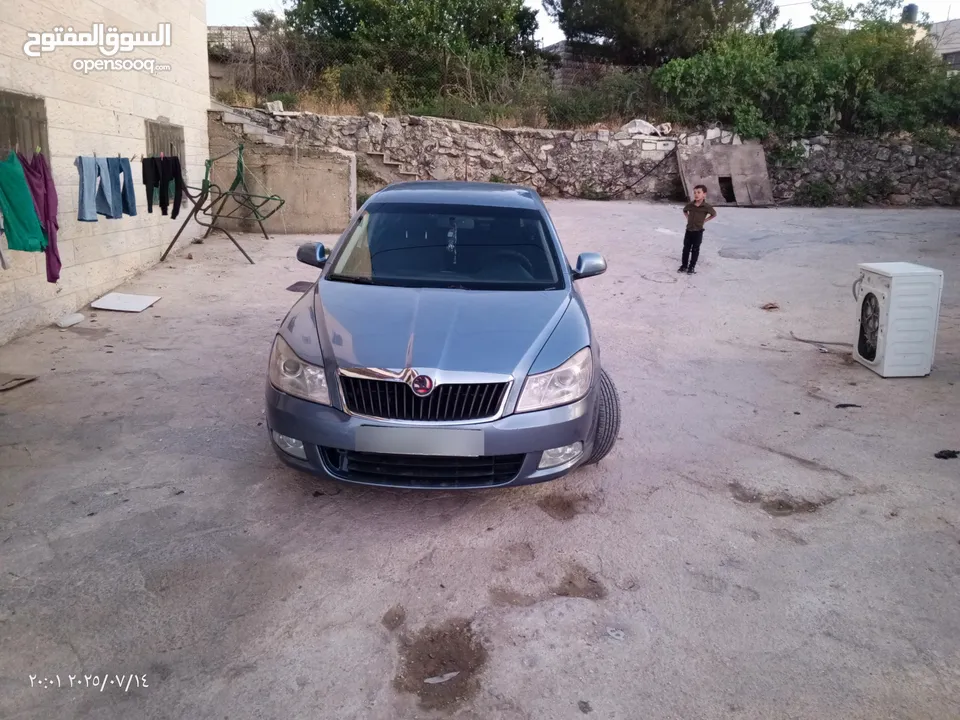 سكودا  اوكتافيا رمش