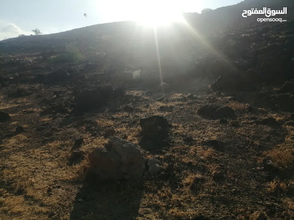 نمرتين ظهرة الرمل بسعر مغري جدا اطلالة غربية كاملة تصلح ل شالية فخم