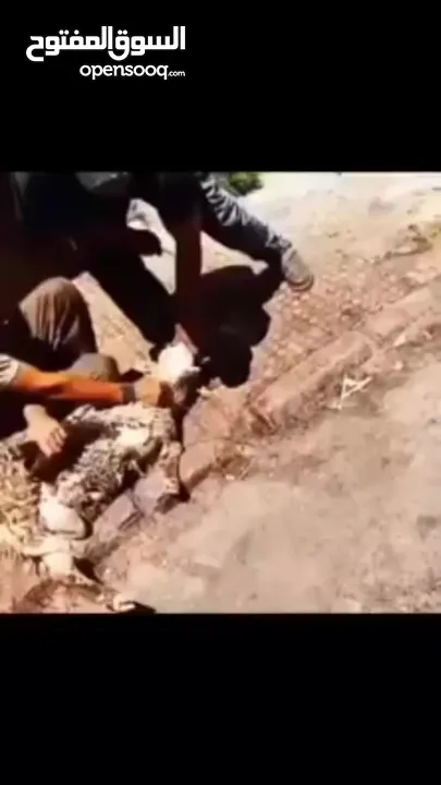 لحام جزار متنقل