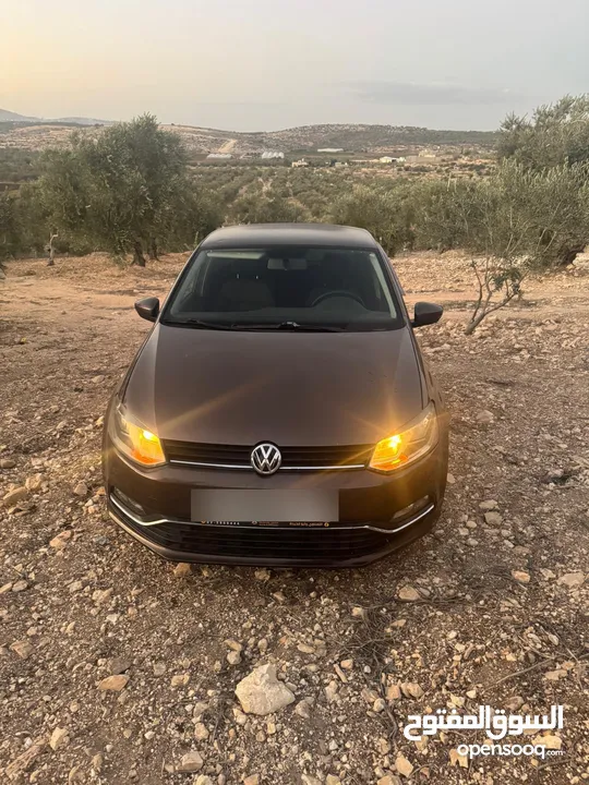 بولو جير عادي الحبة النادرة باللون و الجمال و الفحص