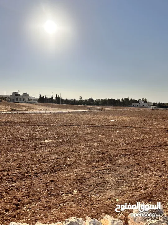 ارض مميزة بسعر مغري اليادودة الفريط