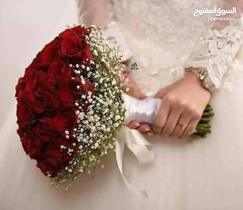 مرسيدس ابتداء من 60 دينار