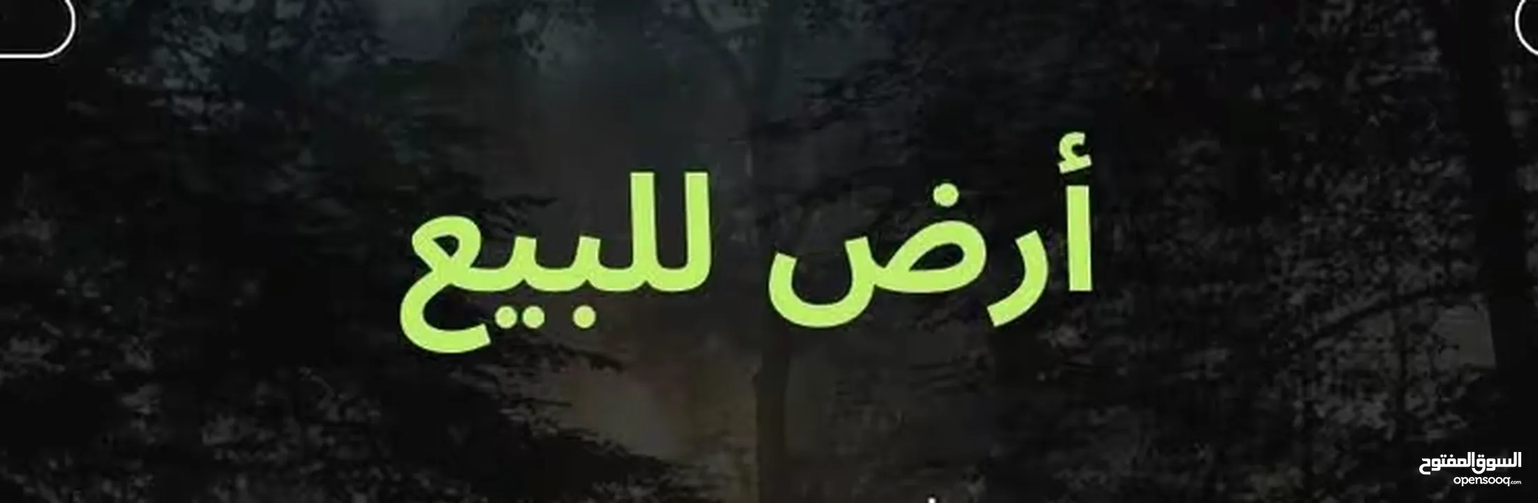 ارض للبيع شارع القدس تل النصبه