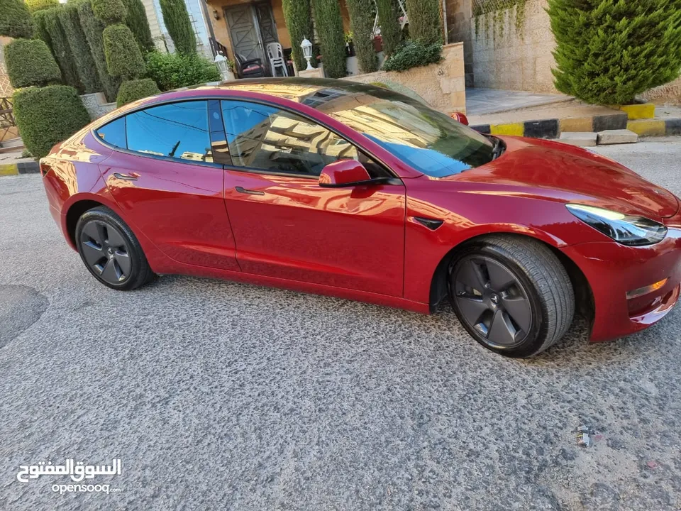 Tesla 3 2023 Standard Plus فحص كامل