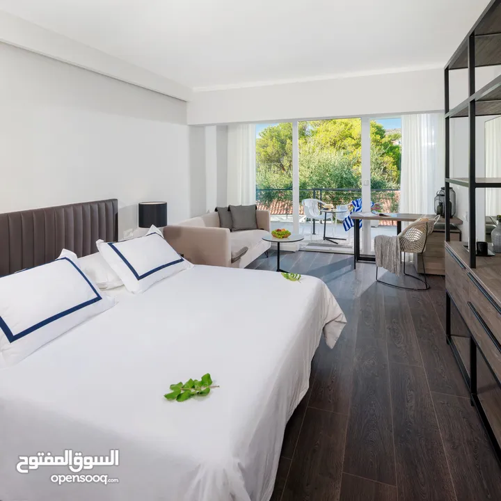 فرصة استثمارية ممتازة لتملك فندق 4 نجوم - An Excellent Investment Opportunity To Own A 4-Star Hotel