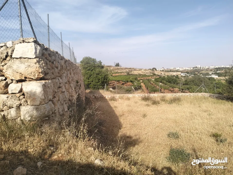 قطعة ارض للبيع