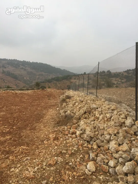 فرصة استثمارية! أرض زراعية مميزة بسعر مغري و بالقرب من أحراش الدولة للمزيد من المعلومات اقرأ الوصف