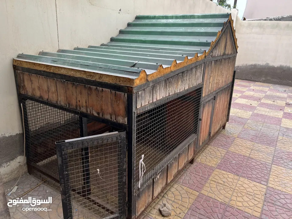 Dog cage for sale