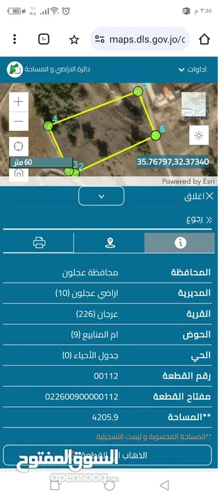 ارض للبيع في عجلون ام الينابيع