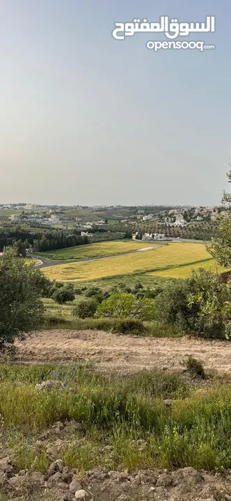 ارض سكنية  للبيع طريق المطار بالقرب من فلل جرين لاند بمساحة ( 1801 م ) في ناعور
