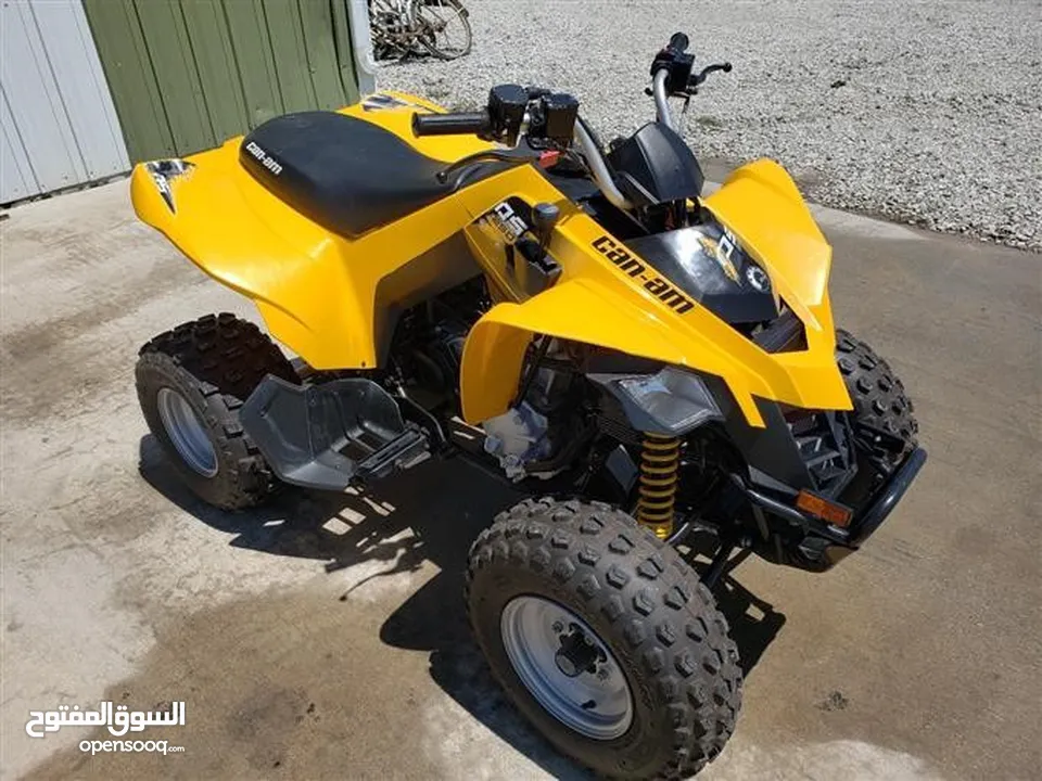 Can-am ds250 2017