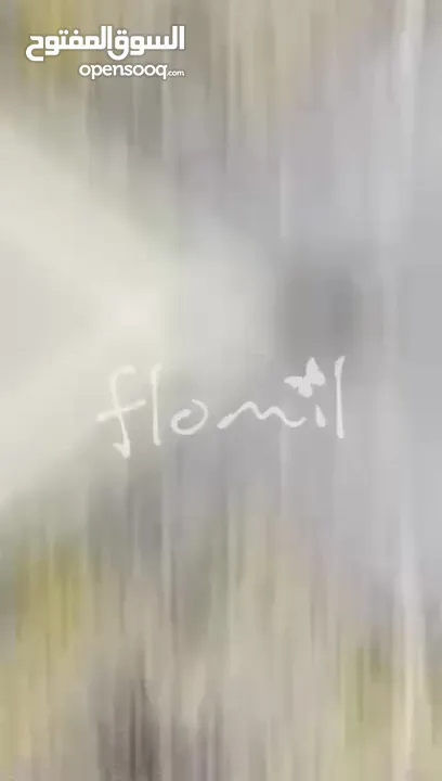 المكنسة الكهربائية الورليس
