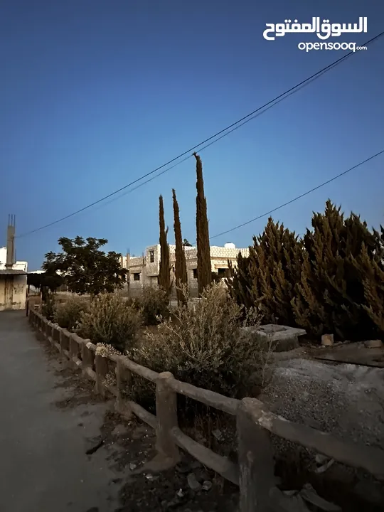 مزرعه للبيع مساحتها دلم