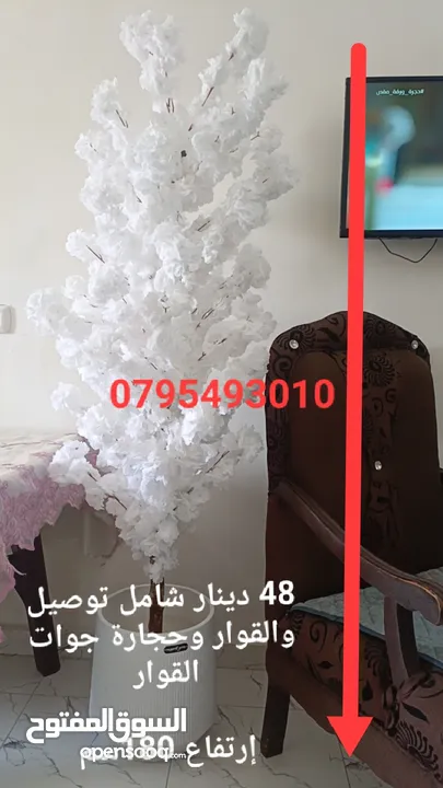 شجر اللوز الصناعي اقرب للطبيعي نيلي ابيض زهر