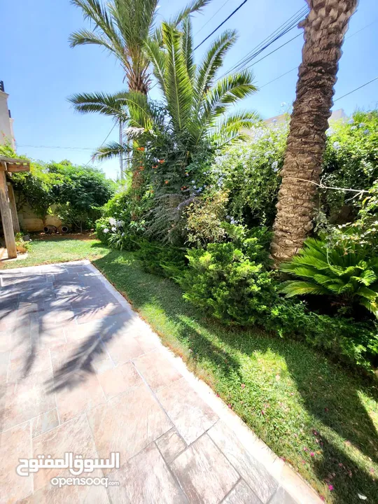 Furnished Villa to Rent  ( Property 39606 )-174805232