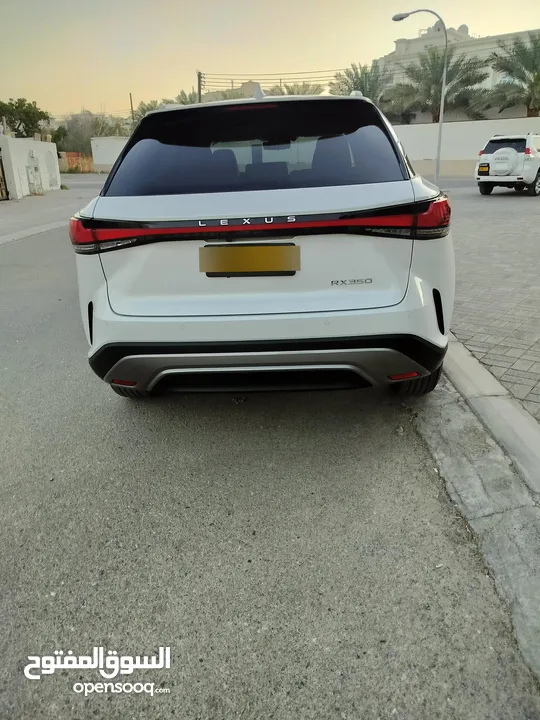 لكزس RX350 موديل 2024