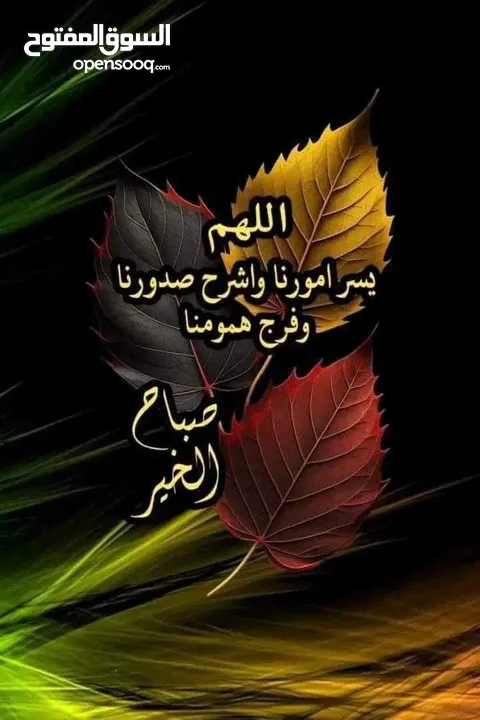 مطلوب ممول