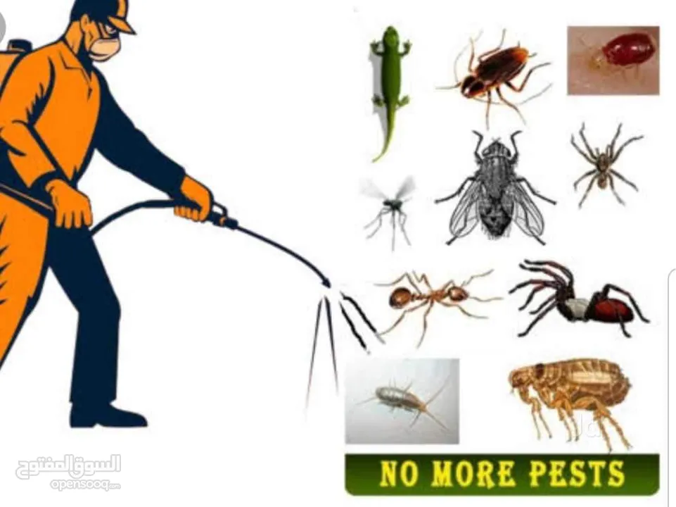 البسمة للتنظيفات ومكافحة الحشرات والتعقيم وتطهير المكان من الفيروسات
