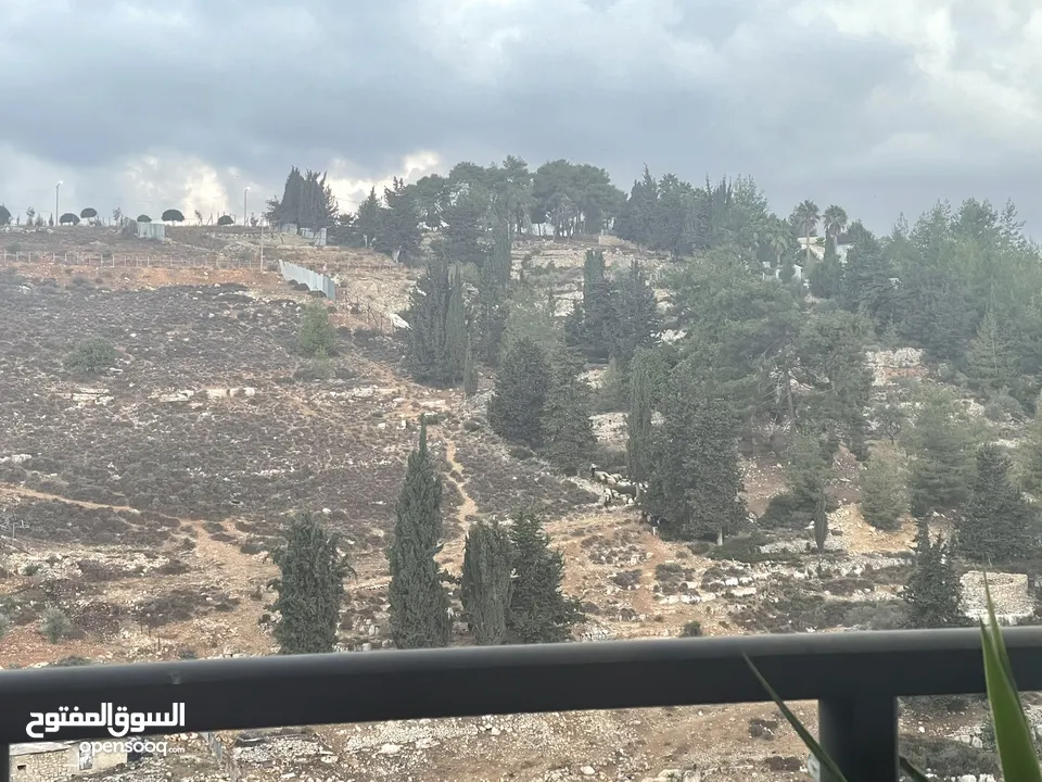 شقة من المالك مباشرة