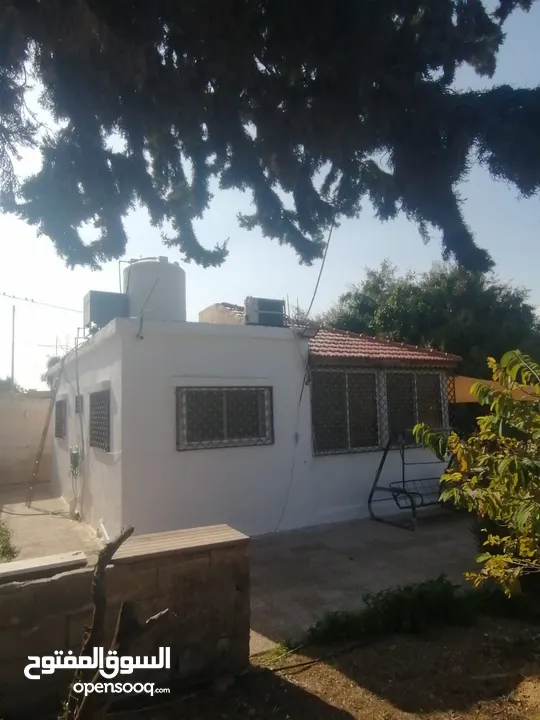 بيت مزرعة (ترخيص سكن) مزروعة شجر مثمر مع بير في منطقة الاغوار الوسطى ظهرة الرمل