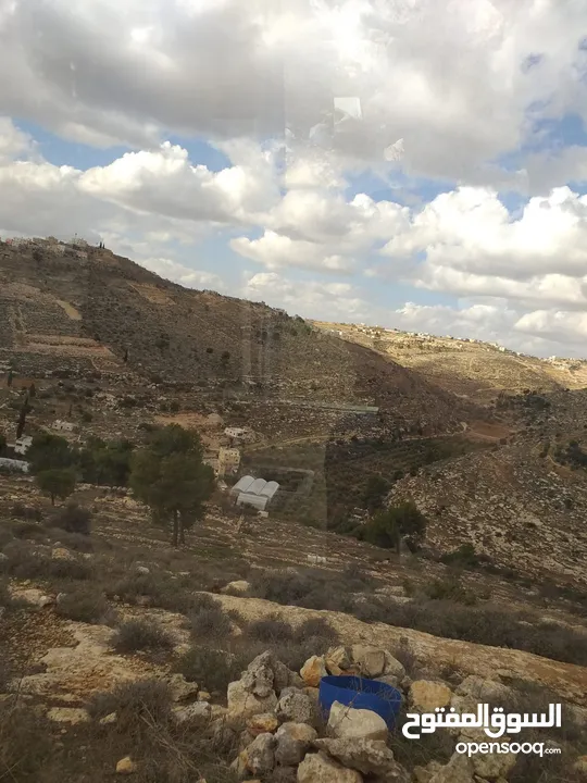أرض للبيع من المالك مباشرة الخليل دورا