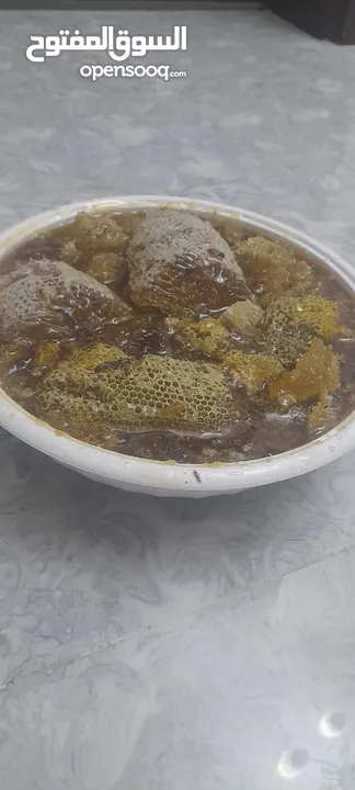 عسل سدر ابو طويق جبلي مضمون