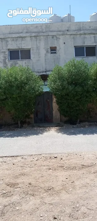 بيوت للبيع