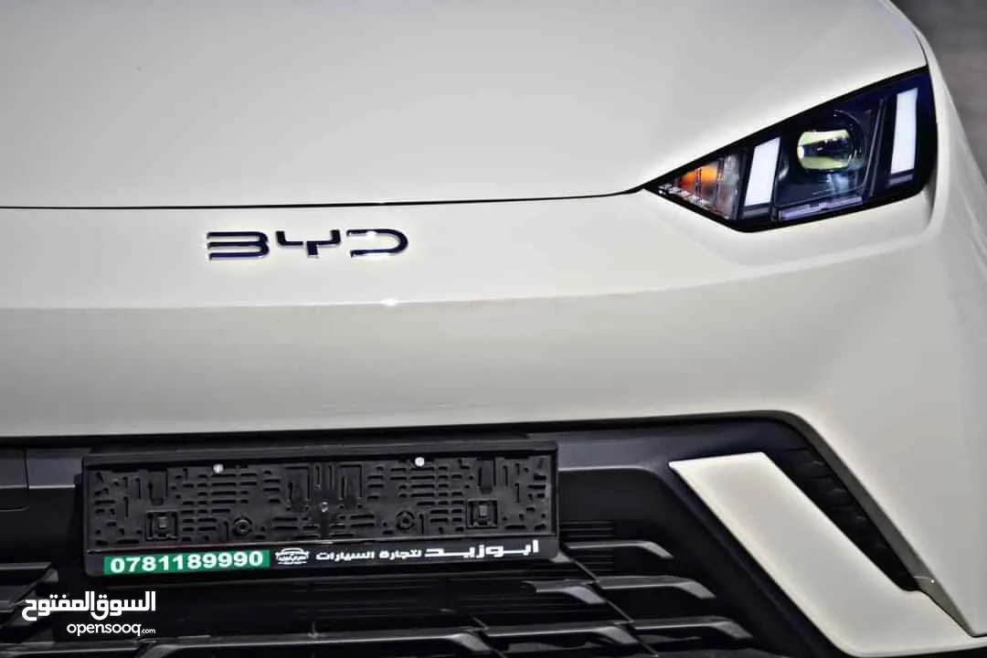 BYD SEAGULL FLYING 2024