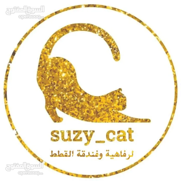 فندق القطط سوزي كات تقدم  استضافة القطط وقت انشغالكم وخدمات التزاوج ومتابعة علاجات الفطط