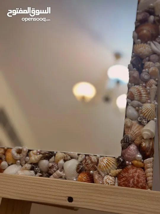 Wall Mirror with Shell Frame - Resin Coated. perfect for bedrooms & entryways.