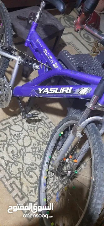 بسكليت لابيع