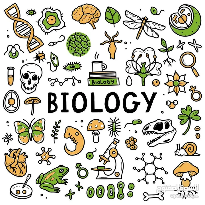 Physics , mathematics, biology and english teacher. معلمة رياضيات ، فيزياء ، بيولوجي و انجليزي.