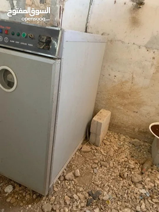 فقاسة جاج  مصريه
