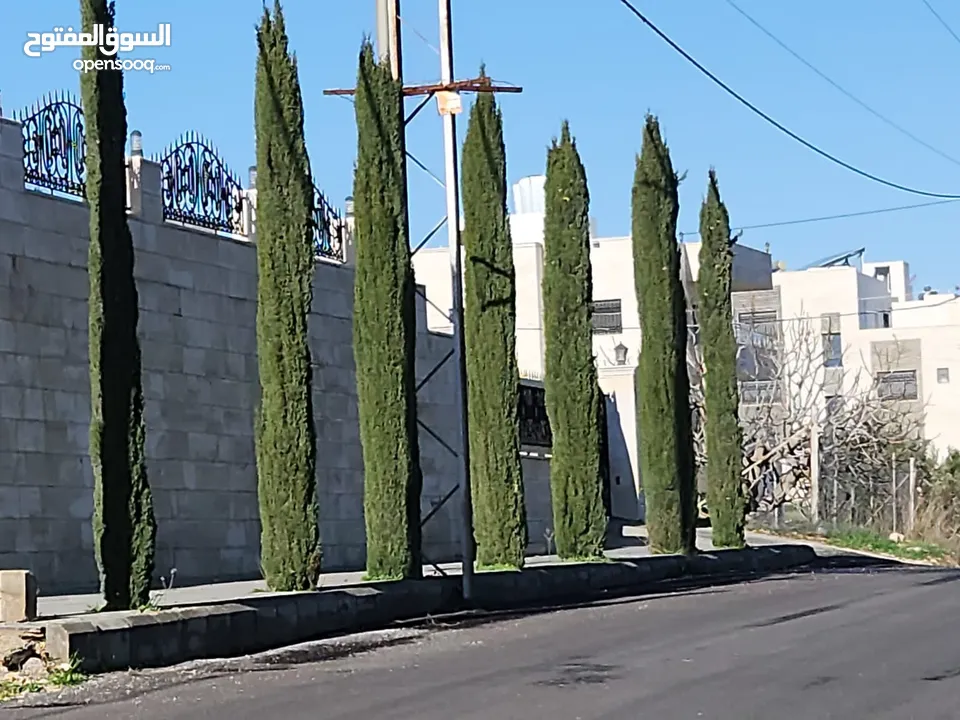ارض مميزة 700 متر في ابو نعير ذات اطلاه عاليه على مسجد الحدائق وابراج السادس تبعد عن دوار الشعب 10د