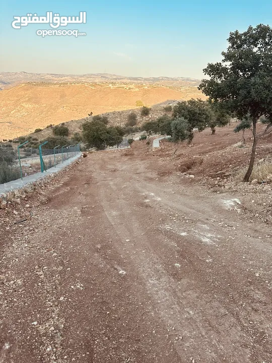 أرض مميزه _الصبيحي _ بيوضه الشماليه