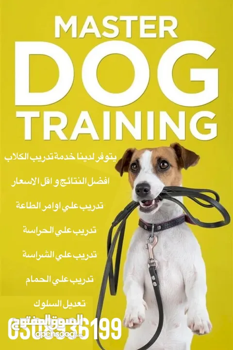 خدمة تدريب الكلاب آفضل النتآئج و آقل الأسعار