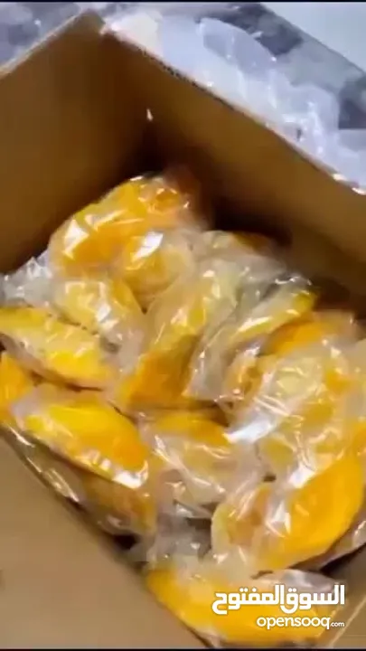 شركه ميركاتو العبور للفواكه المجمده و المجففه
