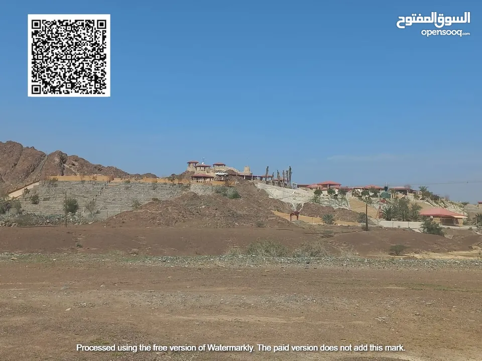 ارض للبيع بمصفوت سكنى زاوية شارعين
