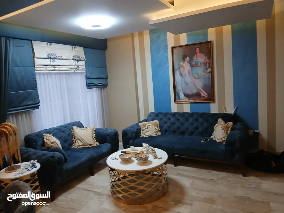 شقه طارق ارضي