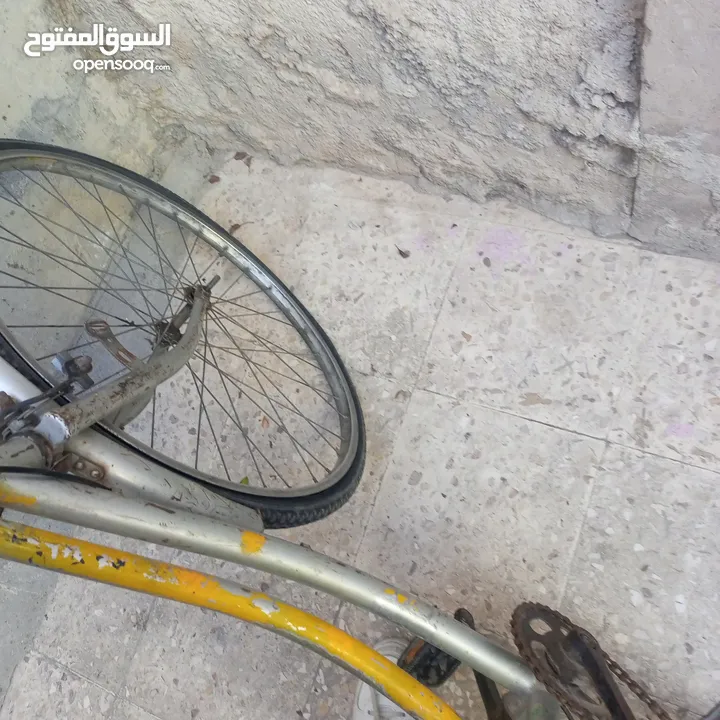 بسكليت للبيع بسعر مغري
