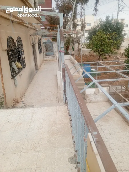 مسجد الرحمان