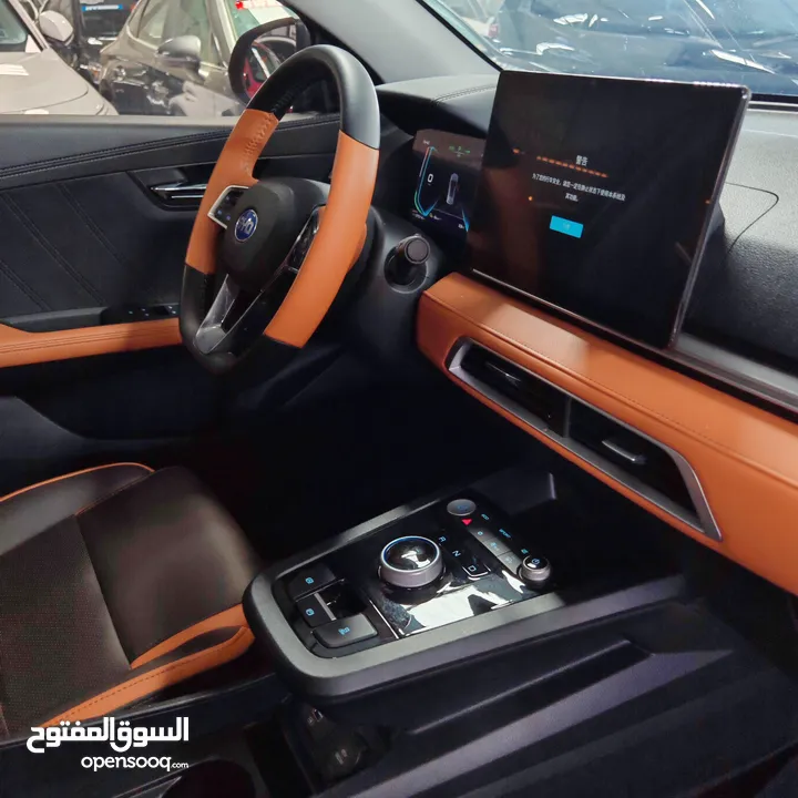 BYD E2 LUXURY 2022