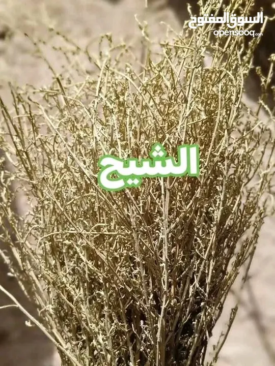 منتجات بلديه
