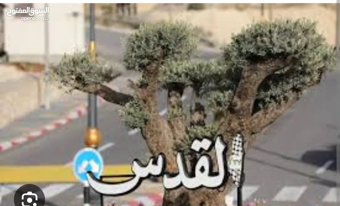 قطعة ارض استثمارية بتجنن ع شارع دير بحة . سعر لقطة لقطة