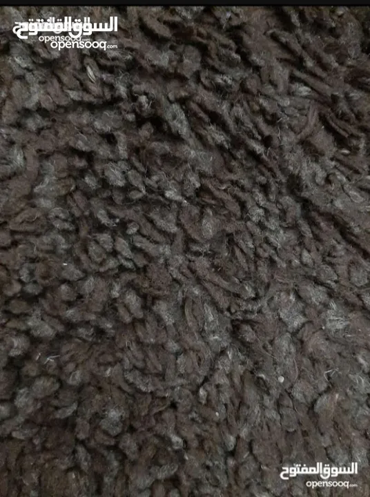 سجاد شبه جديد